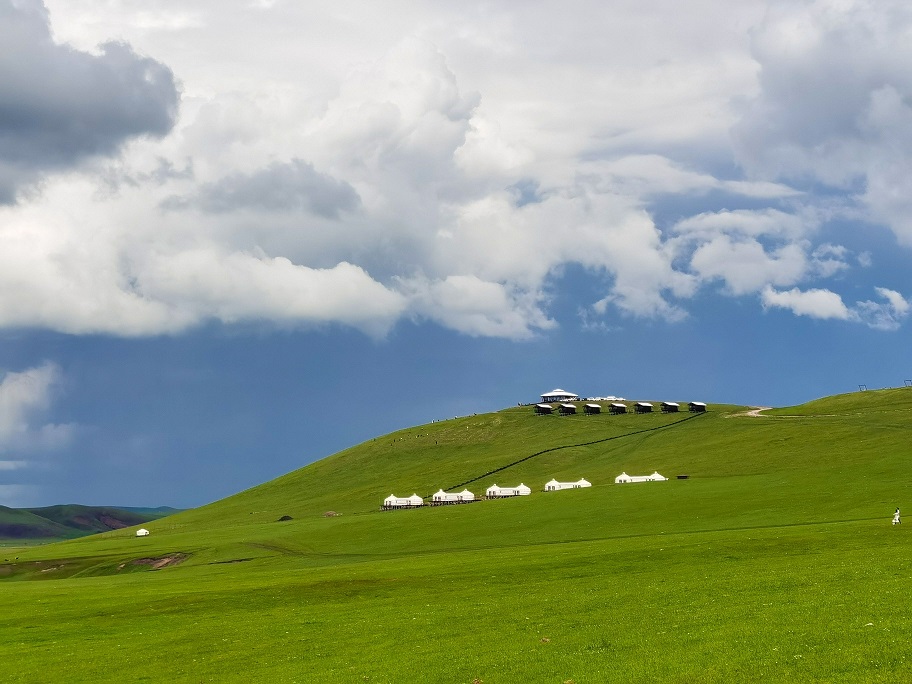 #몽골여름 #초원 #별빛